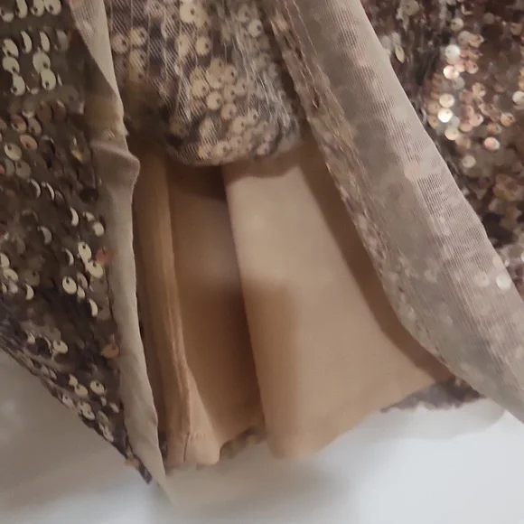 Sequin Dress - Picture 4 of 6